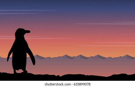 Background penguin silhouette beauty landscape collection stock