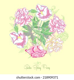 Background with  peonies and pink rose.Vector Illustration