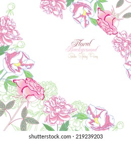 Background with  peonies and pink rose.Vector Illustration