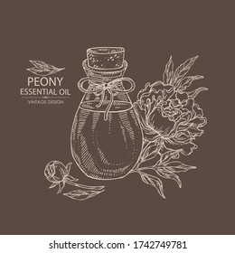 Fondo con flor de peonía y botella de aceite esencial de peonía. Cosmética, perfumería y planta médica. Dibujo manual del vector 
