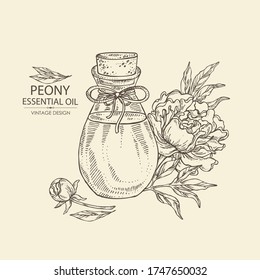Background with peony flower and bottle of peony essential oil. Cosmetic, perfumery and medical plant. Vector hand drawn illustration.