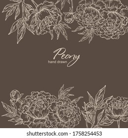 Antecedentes con peonía: flores de peonía y hojas. Ilustración dibujada a mano por el vector