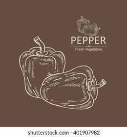 Background with  pepper. hand drawn