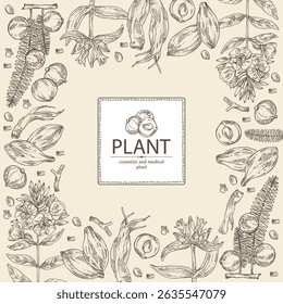 Background with perfumery, cosmetic and medical plants: amla, gentiana macrophylla, terminalia chebula, oenothera. Vector hand drawn illustration.