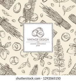 Background with perfumery, cosmetics and medical plant: argan, sage, vetiver and amla. Vector hand drawn illustration