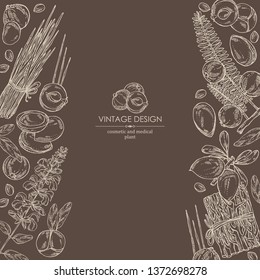 Background with perfumery, cosmetics and medical plant: argan, sage, vetiver and amla. Vector hand drawn illustration