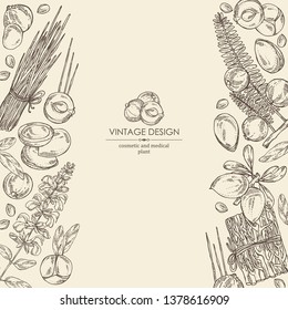 Background with perfumery, cosmetics and medical plant: argan, sage, vetiver and amla. Vector hand drawn illustration