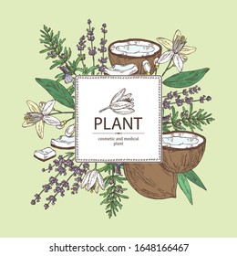 Background  perfumery, cosmetics and medical plant: lavender flowers, neroli flowers, rosemary and coconut. Vector hand drawn illustration