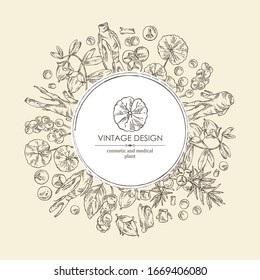 Background with perfumery, cosmetics and medical plant: jojoba, eleutherococcus, chinese schisandra, gotu kola and juniper. Vector hand drawn illustration