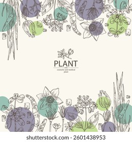 Background with perfumery and medical plants: acorus calamus, garden purslane, portulaca, pulsatilla chinensis, dichroa febrifuga lour. Vector hand drawn illustration.