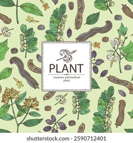 Background with perfumery and medical plants: alangium chinense, mucuna pruriens, phyllanthus niruri, wikstroemia indica. Vector hand drawn illustration.