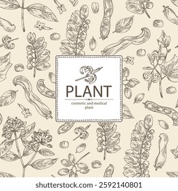 Background with perfumery and medical plants: alangium chinense, mucuna pruriens, phyllanthus niruri, wikstroemia indica. Vector hand drawn illustration.