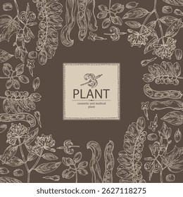 Antecedentes com perfumaria e plantas médicas: alangium chinense, mucuna pruriens, phyllanthus niruri, wikstroemia indica. Ilustração desenhada à mão vetorial.