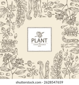 Background with perfumery and medical plants: alangium chinense, mucuna pruriens, phyllanthus niruri, wikstroemia indica. Vector hand drawn illustration.