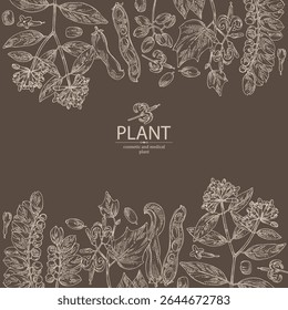 Antecedentes com perfumaria e plantas médicas: alangium chinense, mucuna pruriens, phyllanthus niruri, wikstroemia indica. Ilustração desenhada à mão vetorial.
