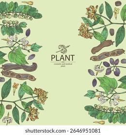 Antecedentes com perfumaria e plantas médicas: alangium chinense, mucuna pruriens, phyllanthus niruri, wikstroemia indica. Ilustração desenhada à mão vetorial.