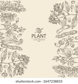 Antecedentes com perfumaria e plantas médicas: alangium chinense, mucuna pruriens, phyllanthus niruri, wikstroemia indica. Ilustração desenhada à mão vetorial.
