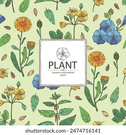 Background with perfumery and medical plants: celandine flowers, calendula, nettle, flax. Vector hand drawn illustration.