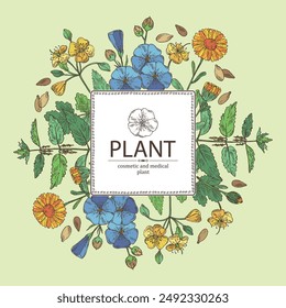 Background with perfumery and medical plants: celandine flowers, calendula, nettle, flax. Vector hand drawn illustration.