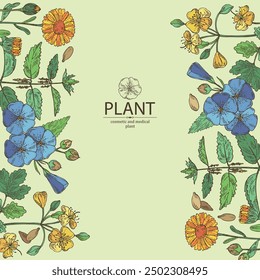 Background with perfumery and medical plants: celandine flowers, calendula, nettle, flax. Vector hand drawn illustration.