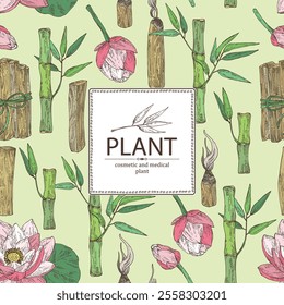 Background with perfumery and medical plants: lotus flower, bamboo, palo santo sticks. Vector hand drawn illustration.