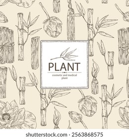 Background with perfumery and medical plants: lotus flower, bamboo, palo santo sticks. Vector hand drawn illustration.