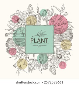 Background with perfumery and medical plants: lotus flower, bamboo, palo santo sticks. Vector hand drawn illustration.