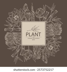 Background with perfumery and medical plants: lotus flower, bamboo, palo santo sticks. Vector hand drawn illustration.