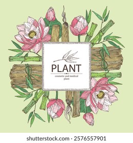 Background with perfumery and medical plants: lotus flower, bamboo, palo santo sticks. Vector hand drawn illustration.