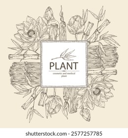 Background with perfumery and medical plants: lotus flower, bamboo, palo santo sticks. Vector hand drawn illustration.