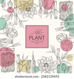 Background with perfumery and medical plants: lotus flower, bamboo, palo santo sticks. Vector hand drawn illustration.