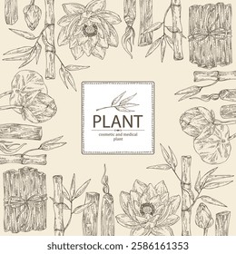 Background with perfumery and medical plants: lotus flower, bamboo, palo santo sticks. Vector hand drawn illustration.