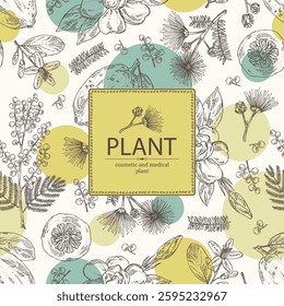 Background with perfumery and medical plants: mimosa flowering branch, gardenia flowers, albizia lankaran, citron fruit. Vector hand drawn illustration.