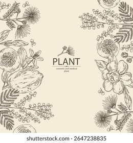 Contexto com perfumaria e plantas médicas: ramo de flores mimosa, flores gardênia, albizia lankaran, citron fruto. Ilustração desenhada à mão vetorial.