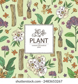 Background with perfumery and medical plants: palo santo sticks, osmanthus, cistus ladanifer, heliotropium. Vector hand drawn illustration.