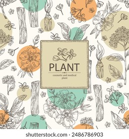 Background with perfumery and medical plants: palo santo sticks, osmanthus, cistus ladanifer, heliotropium. Vector hand drawn illustration.