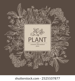 Background with perfumery and medical plants: palo santo sticks, osmanthus, cistus ladanifer, heliotropium. Vector hand drawn illustration.