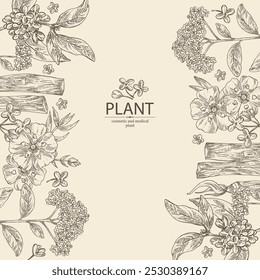 Background with perfumery and medical plants: palo santo sticks, osmanthus, cistus ladanifer, heliotropium. Vector hand drawn illustration.