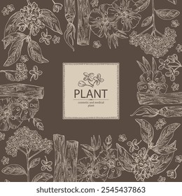 Background with perfumery and medical plants: palo santo sticks, osmanthus, cistus ladanifer, heliotropium. Vector hand drawn illustration.