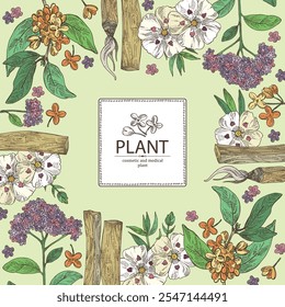 Background with perfumery and medical plants: palo santo sticks, osmanthus, cistus ladanifer, heliotropium. Vector hand drawn illustration.