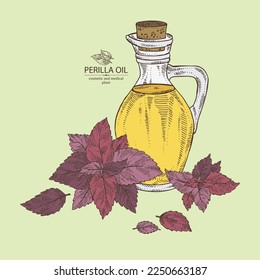 Background with perilla: plant and perilla leaves and bottle of isatis oil. Vector hand drawn illustration