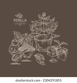 Fondo con perilla: hojas de plantas y perilla. Aceite, jabón y sal de baño. Cosméticos y plantas médicas. Ilustración dibujada a mano por el vector