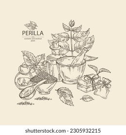 Fondo con perilla: hojas de plantas y perilla. Aceite, jabón y sal de baño. Cosméticos y plantas médicas. Ilustración dibujada a mano por el vector