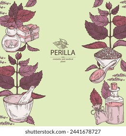 Fondo con perilla: planta y hojas de perilla. Aceite, jabón y sal de baño. Cosméticos y planta médica. Ilustración dibujada a mano del vector