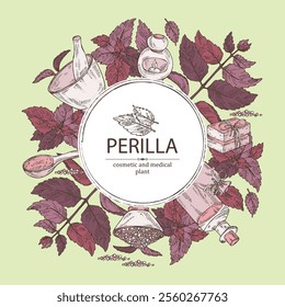 Background with perilla: plant and perilla leaves. Oil, soap and bath salt . Cosmetics and medical plant. Vector hand drawn illustration