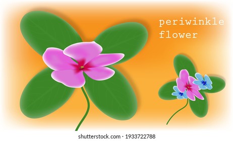 background  periwinkle flower pink color, Business Presentation Vector Template Used For Decoration, Advertising Design, Website Or Publication, Banner And Poster, Cover And Brochure, Flyer