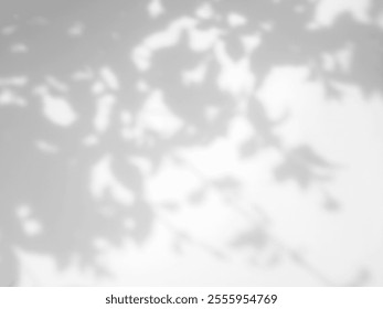 Background Photo of silhouette of tree