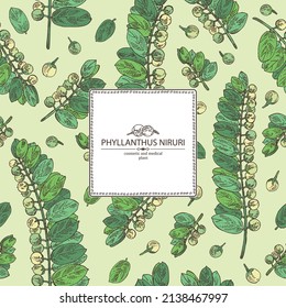 Background with phyllanthus niruri: phyllanthus plant, leaves and phyllanthus niruri berries. Cosmetic, perfumery and medical plant. Vector hand drawn illustration