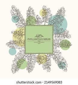 Background with phyllanthus niruri: phyllanthus plant, leaves and phyllanthus niruri berries. Cosmetic, perfumery and medical plant. Vector hand drawn illustration