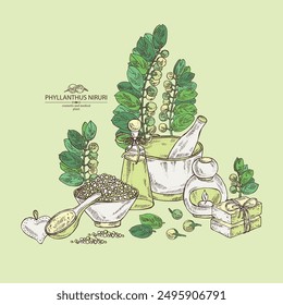 Hintergrund mit Phyllanthus niruri: Phyllanthus Pflanze, Blätter und Phyllanthus niruri Beeren. Öl, Seife und Badesalz. Kosmetik und Heilpflanze. Vektorgrafik Handzeichnung